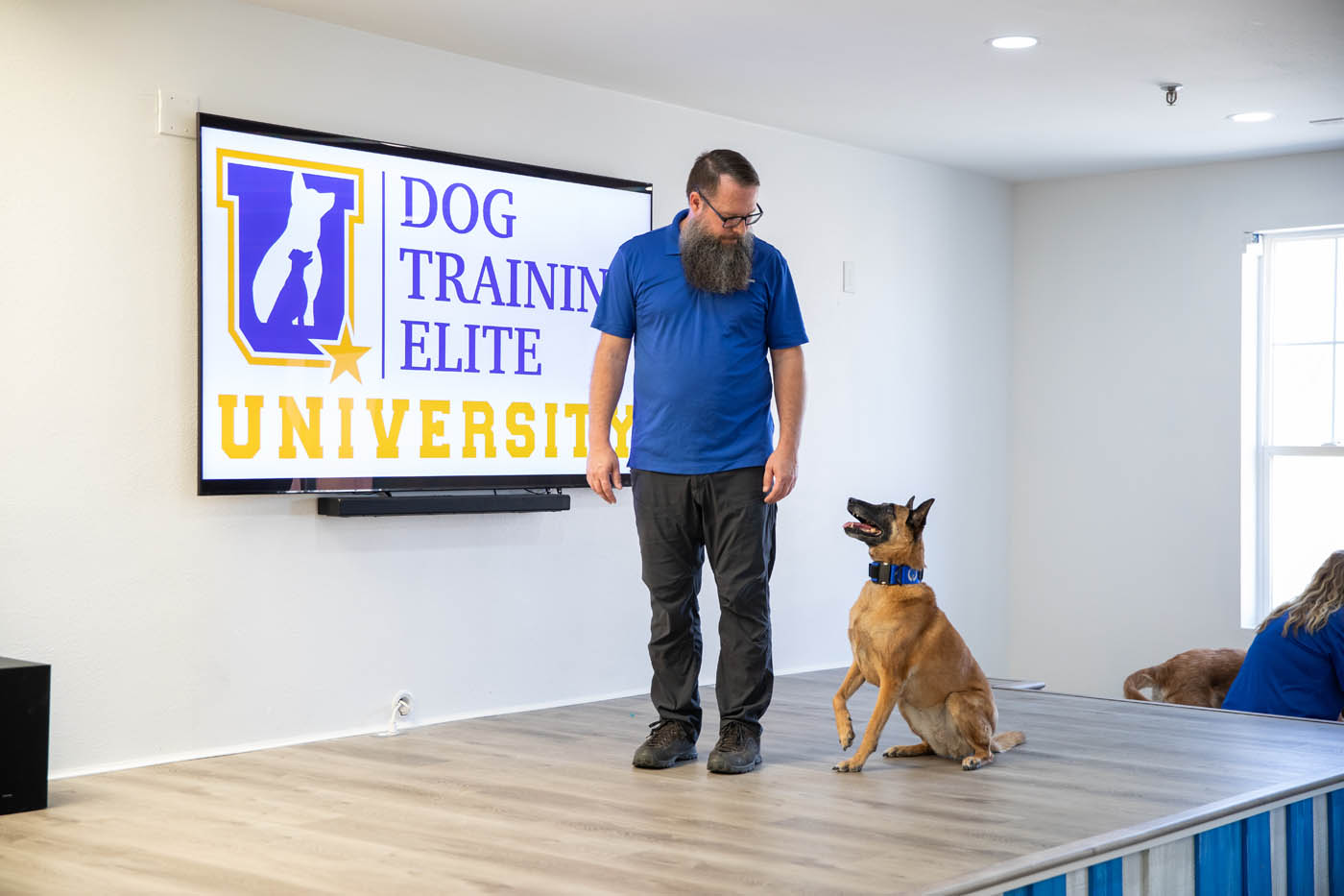 A DTE trainer and german shepherd at a show demo - learn exactly why we offer the best in-home dog training in Cincinnati, OH.