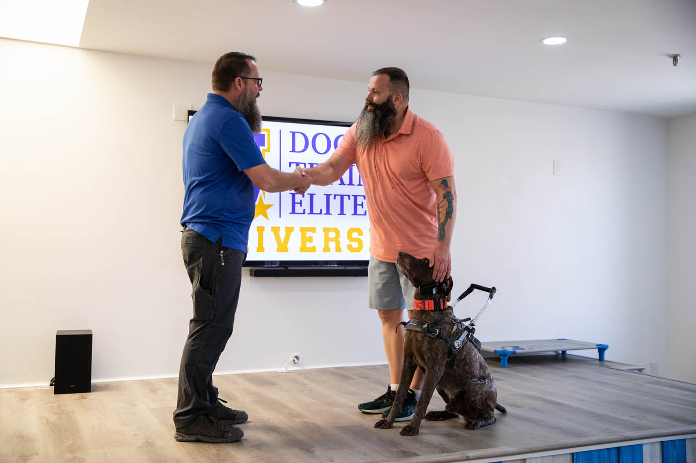 A trainer, a man and his service dog - find the best service dog training in Fitchburg / Leominster, MA with Dog Training Elite.