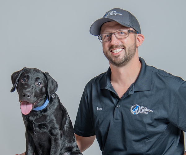 Brad Okeson - Owner & Lead Dog Trainer