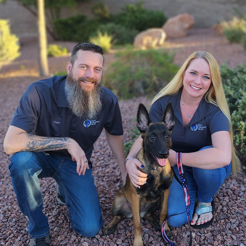 A well trained dog and their owner posing in front of a Dog Training Elite wall.