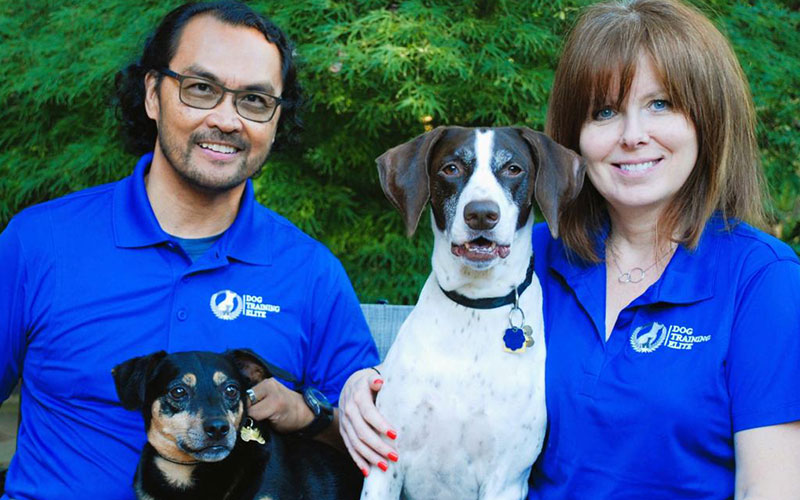 A well trained dog and their owner posing in front of a Dog Training Elite wall.