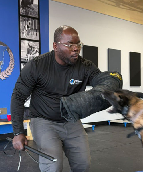 Kelvin - Trainer