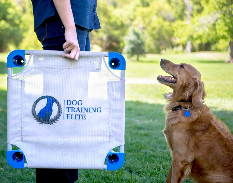 DTE employee dog training coupon for Dog Training Elite New Mexico