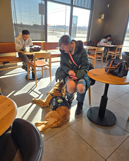 service dog training at restaurant