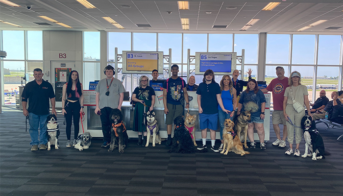 service dogs at airport
