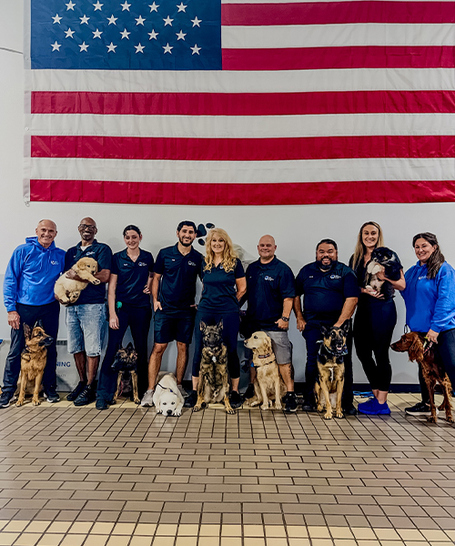 About DTE Treasure Coast 