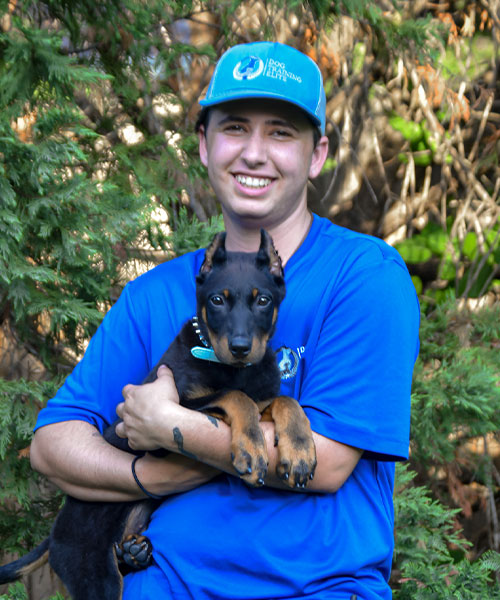 Luke. Dog Trainer in Dallas