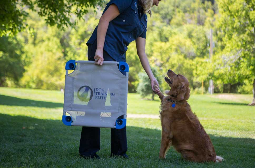 Dog Training Elite has expert dog trainers in Omaha that use a positive training method with optimal results.