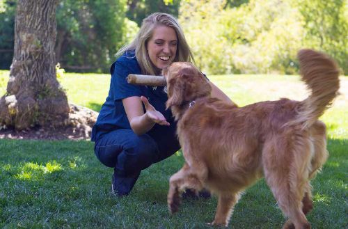 Top Dog Trainers Near Me in Raleigh / Cary