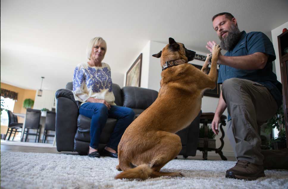 Dog Training Elite Dallas—Fort Worth se enorgullece de ofrecer los servicios de adiestramiento canino mejor calificados a un costo asequible cerca de tu hogar en Frisco.