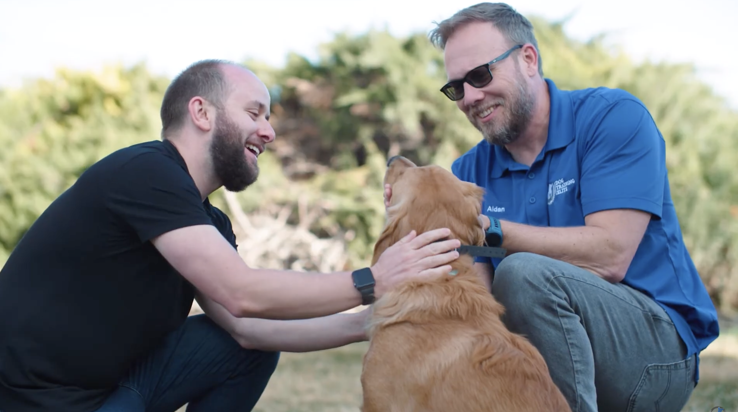 An Dog Training Elite Fort Wayne owner explaining the use of e-collars.