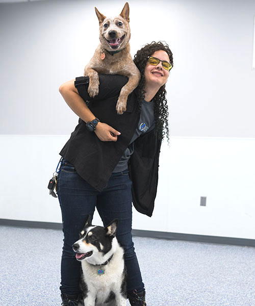 Azure. Dog Trainer in Glendale / Peoria
