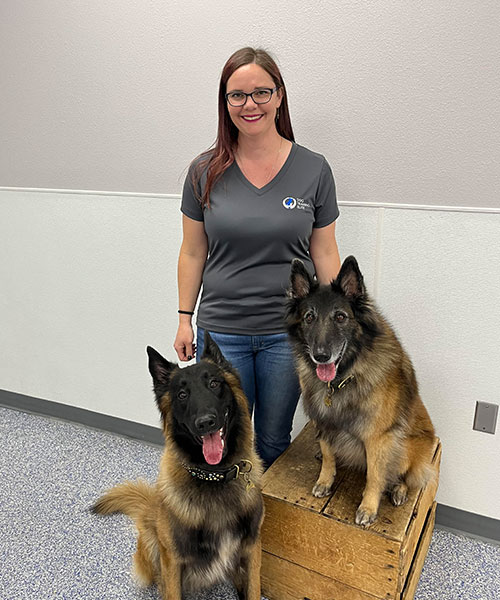 Karen. Dog Trainer in Glendale / Peoria
