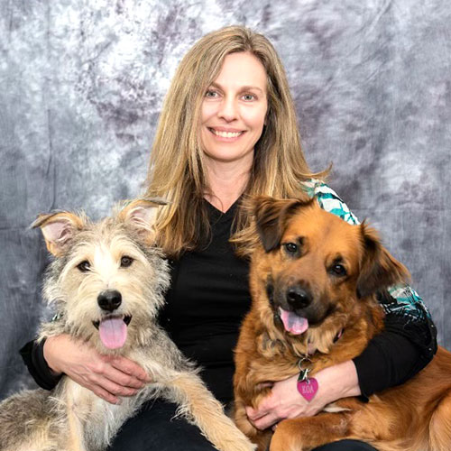 Danielle Sanderson. Dog Trainer in Providence / New Bedford