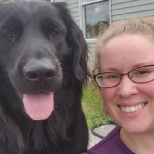 Jocelyn. Dog Trainer in South Bend / Elkhart