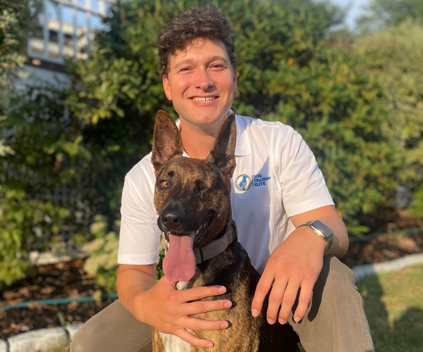 Marcus DiBenedetto. Dog Trainer in Worcester