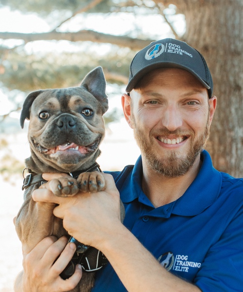 Dan Lutchko. Dog Trainer in Traverse City