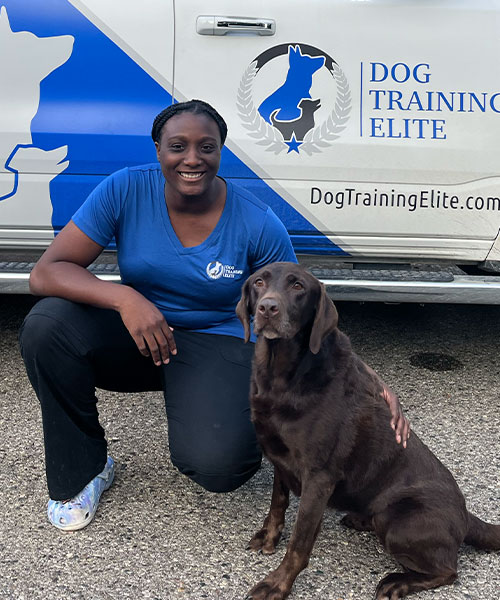 Ryann Reese. Dog Trainer in Metro Detroit